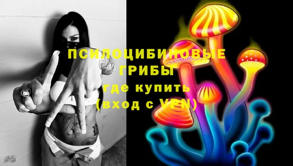 apvp Ельня