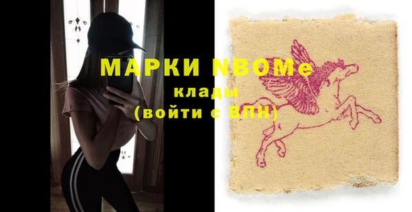 молекула духа Елизово