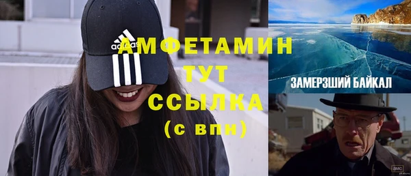 apvp Ельня