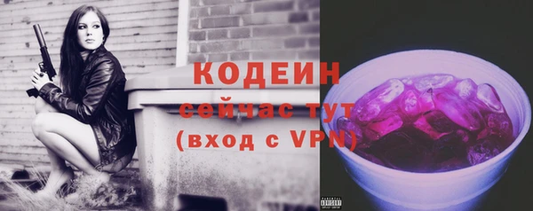 apvp Ельня