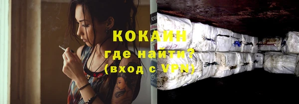 apvp Ельня