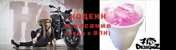 молекула духа Елабуга