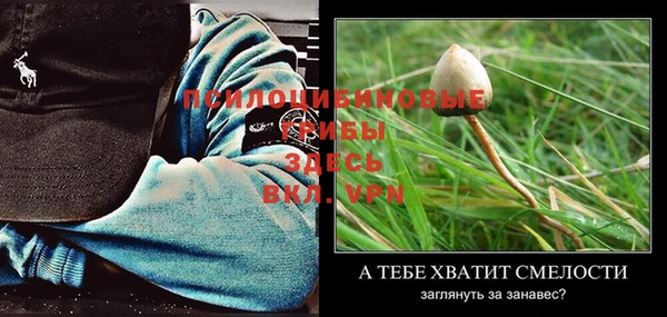 apvp Ельня