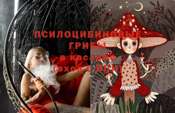 apvp Ельня