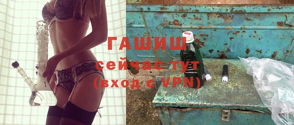 молекула духа Елизово