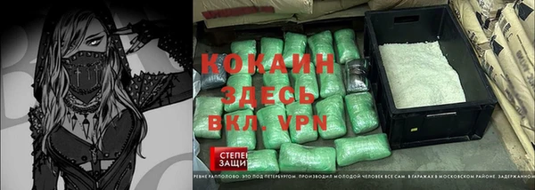 apvp Ельня