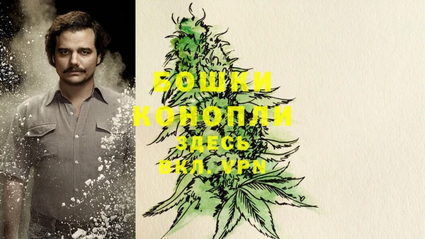apvp Ельня