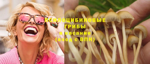 apvp Ельня