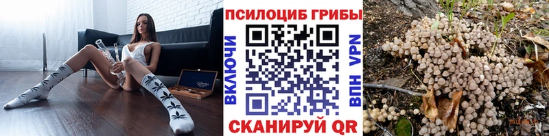 Купить где  Белогорск  Псилоцибиновые грибы GOLDEN TEACHER 